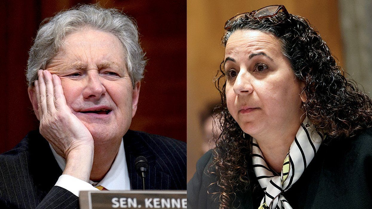 Republican senator to Dem witness: 'Hide your head in a bag'