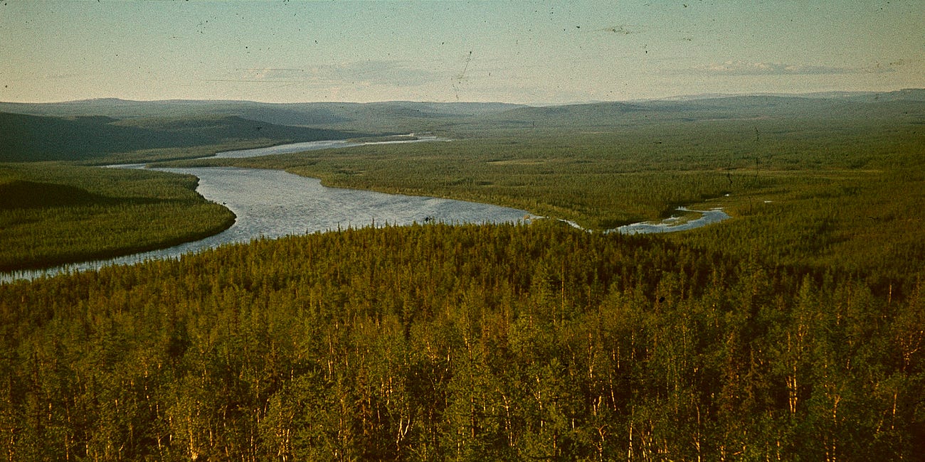 Information processing by natural ecosystems