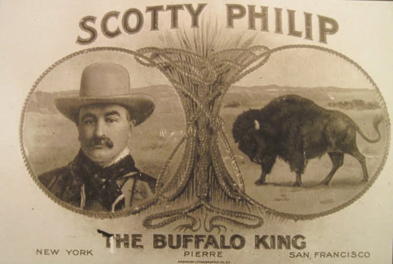 SCOUTING YESTERDAY | Pierre sought bison preserve in nod to South Dakota 'Buffalo King'