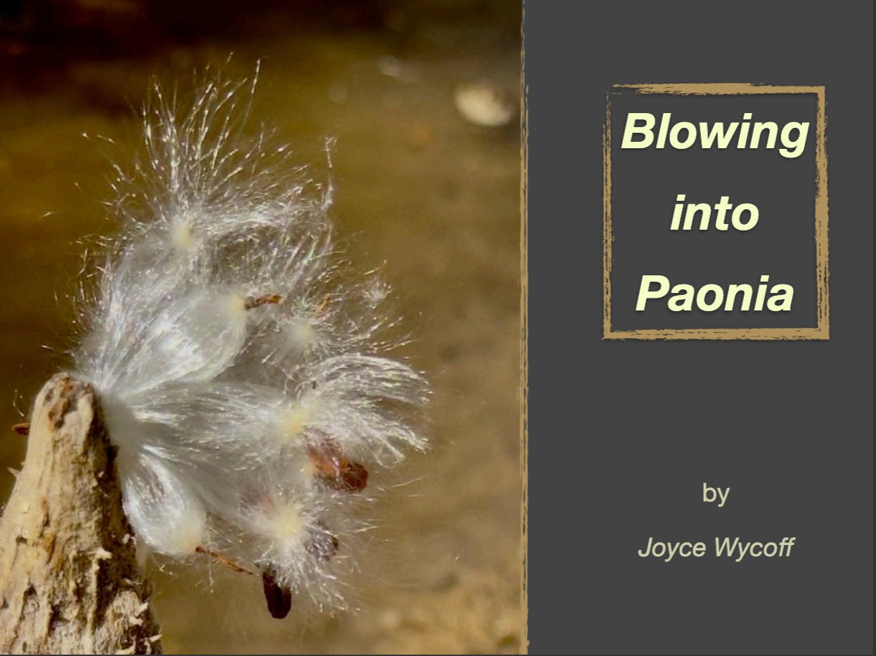 Cover of flipbook of my trip to Paonia, CO.