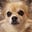Sophie's avatar