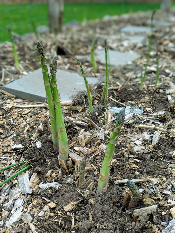 Spring has sprung!
