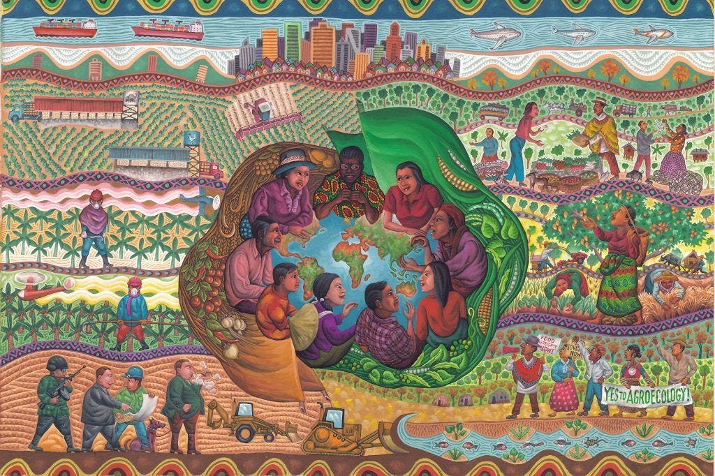 IARAA platform interface. Source: Reprodução / Agrarian Conversations