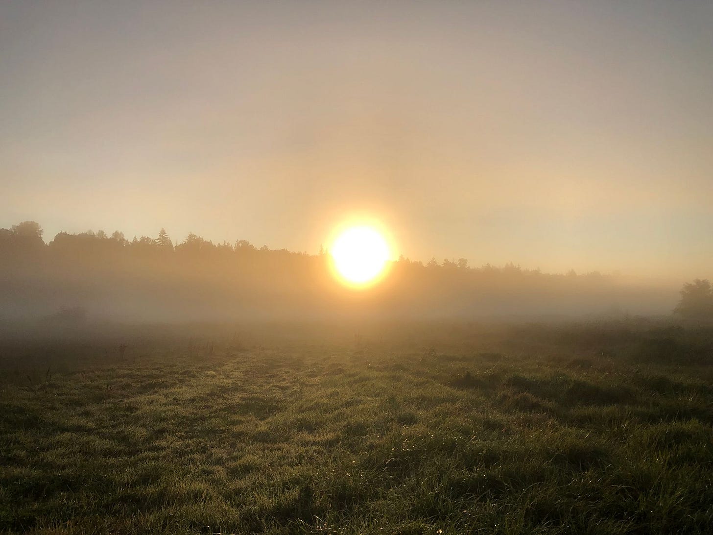 adaptation and apocalypse adaptation and apocalypse