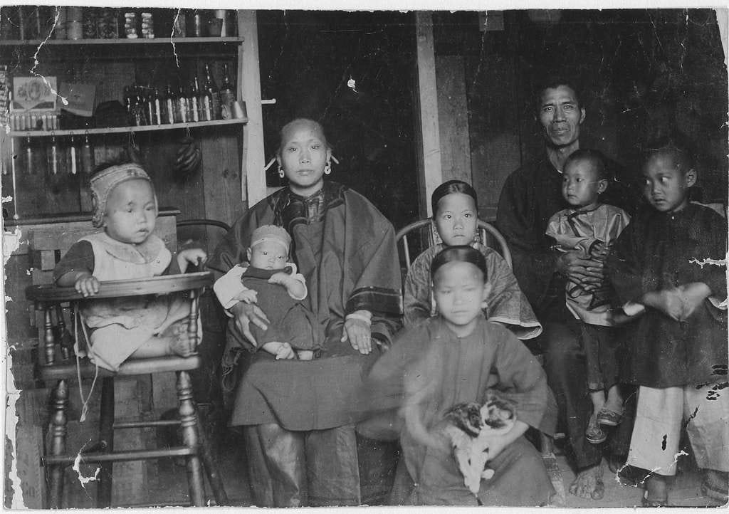 Chinese Family in Hawaii 1893 - PICRYL - Public Domain Media ...