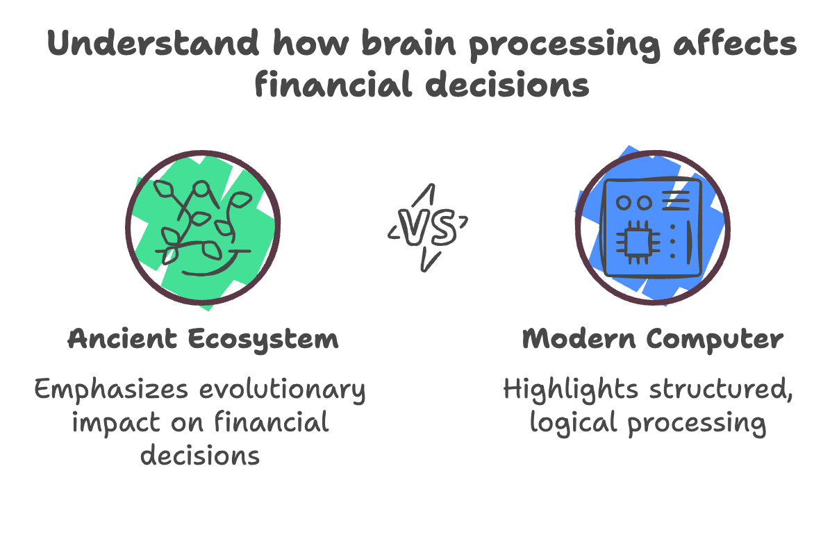 brain processing financial decisions