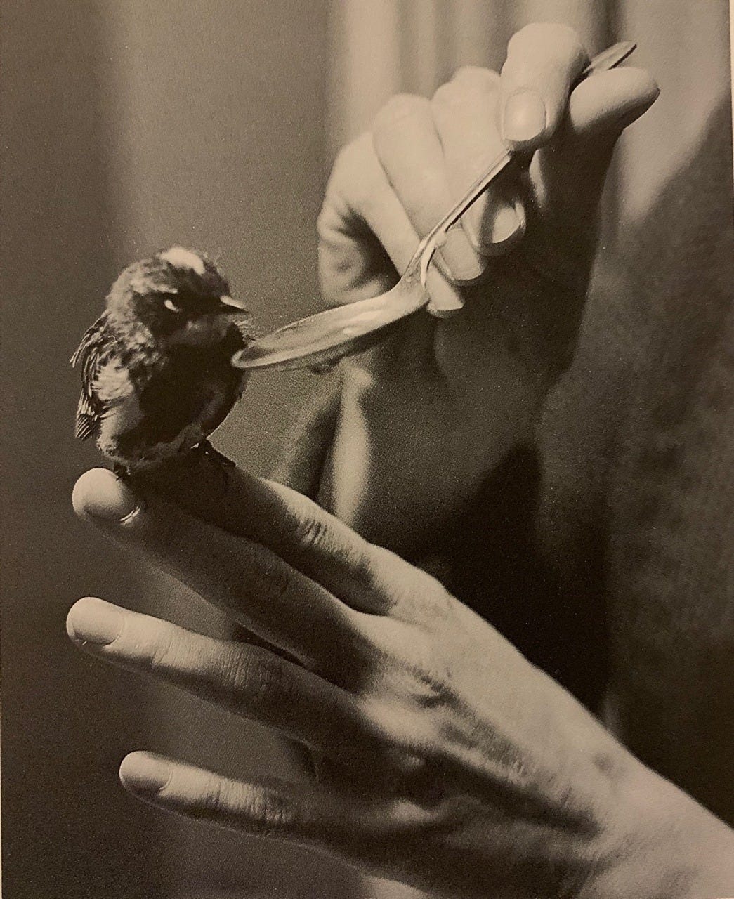 Mary Oliver, photographed by her partner Molly Malone Cook. “Helping the  traveler, 1965” | Are.na