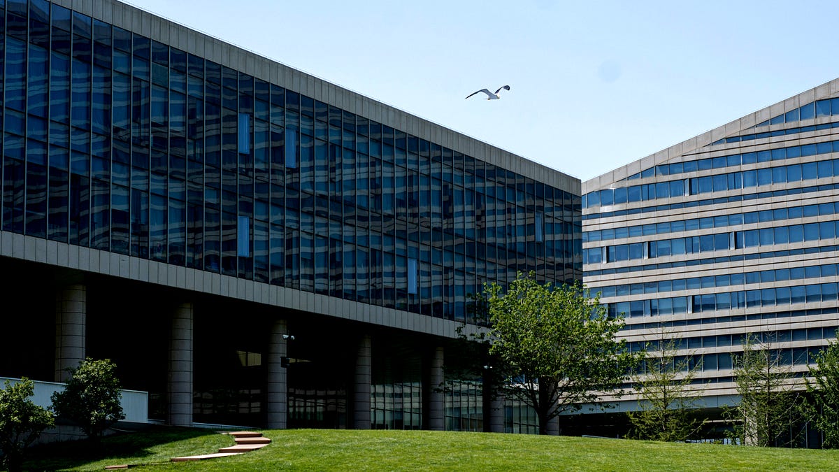 No Free Lunch (A Bone Angel Extra)