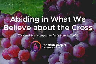 The Abide Project | Substack