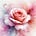 Miss Rose's avatar