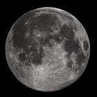 What would surfing be like on the Moon?