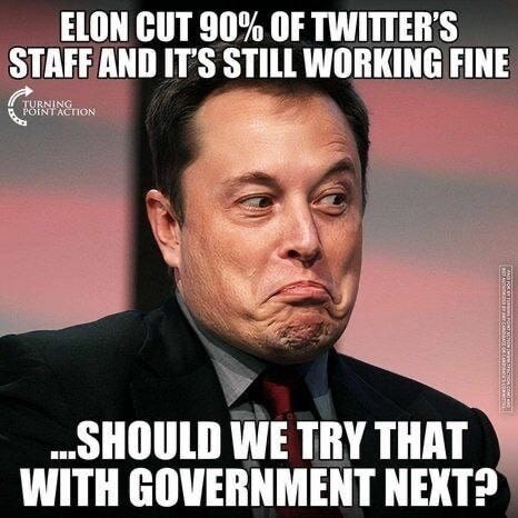 What do you think? 😂