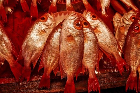 Unsustainable fisheries