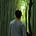Naythan Chan's avatar