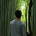 Naythan Chan's avatar