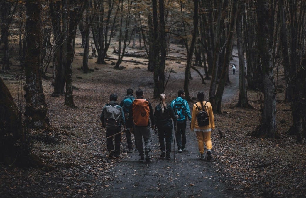 a group of people walking through a forest