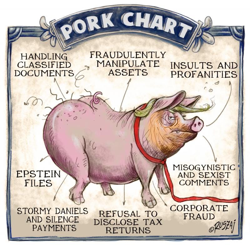 Cartoon showing a pig with the head of Donald Trump with the caption 'Pork chart' above it. Various pieces of the pig are labeled 'corporate fraud', 'refusal to disclose tax returns', 'Stormy Daniels and silence payments', 'Epstein files', 'Handling classified documents;, 'fraudulently manipulate assets', 'insults and profanities' and 'misogynistic and sexist comments'.
