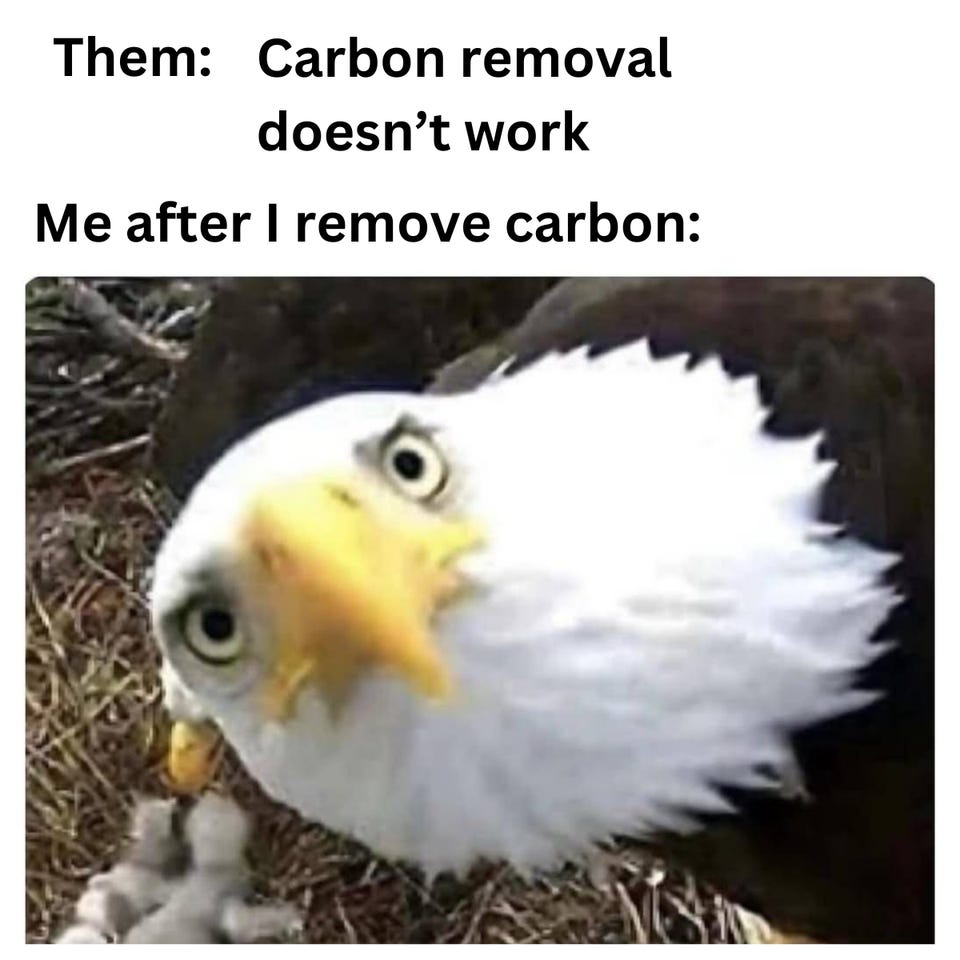 "Them: Carbon removal doesn't work. Me after I remove carbon:" above a close-up of a bald eagle staring straight into the camera.