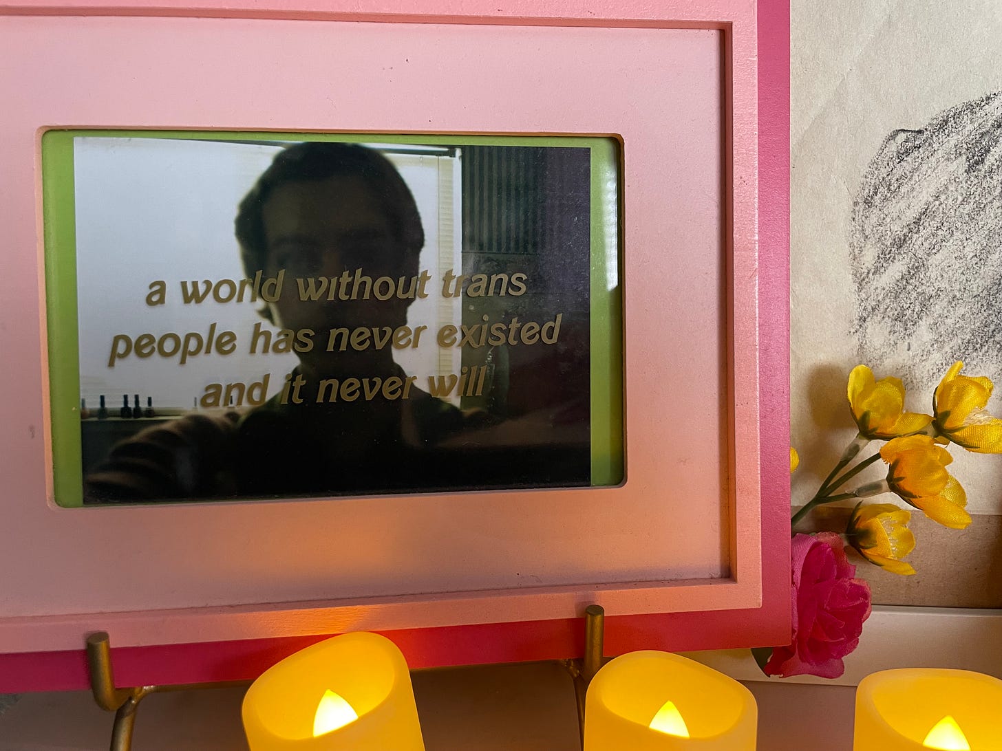 close up up a picture of a backlit person with dhort hair. text says a world without trans people has never existed and it never will