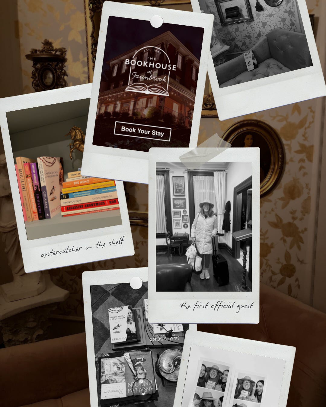 Oystercatcher Bookhouse Hotel