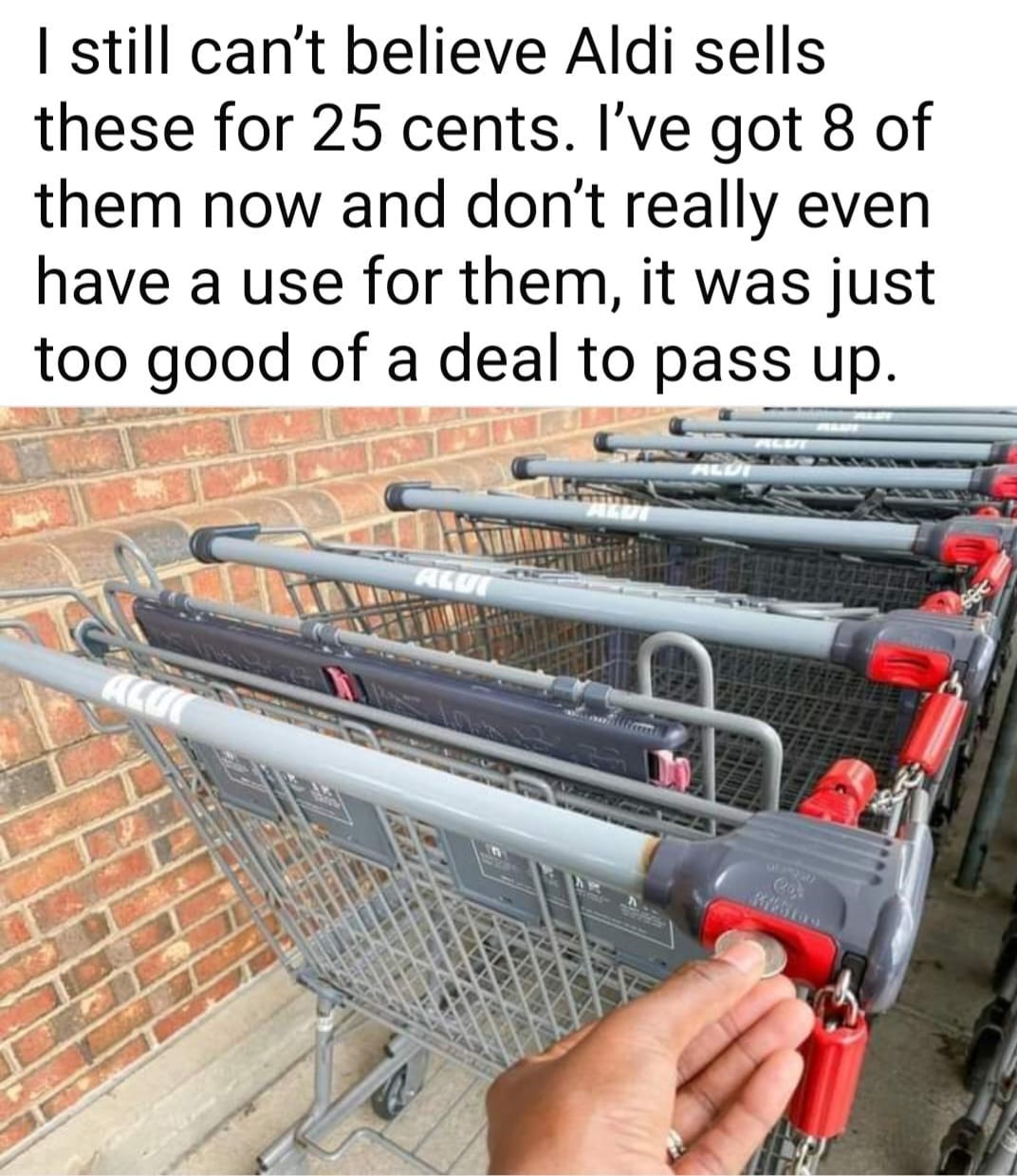 No photo description available.