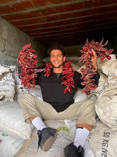 Lamiri Harissa