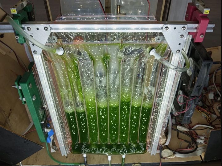 Two views of the photobioreactor prototype, which is a screen of clear plastic tubes filled with a green liquid. It’s held up on a stainless-steel engineering frame, with the clutter of power and plumbing attachments visible all around.