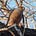 Brett Wilderman's avatar