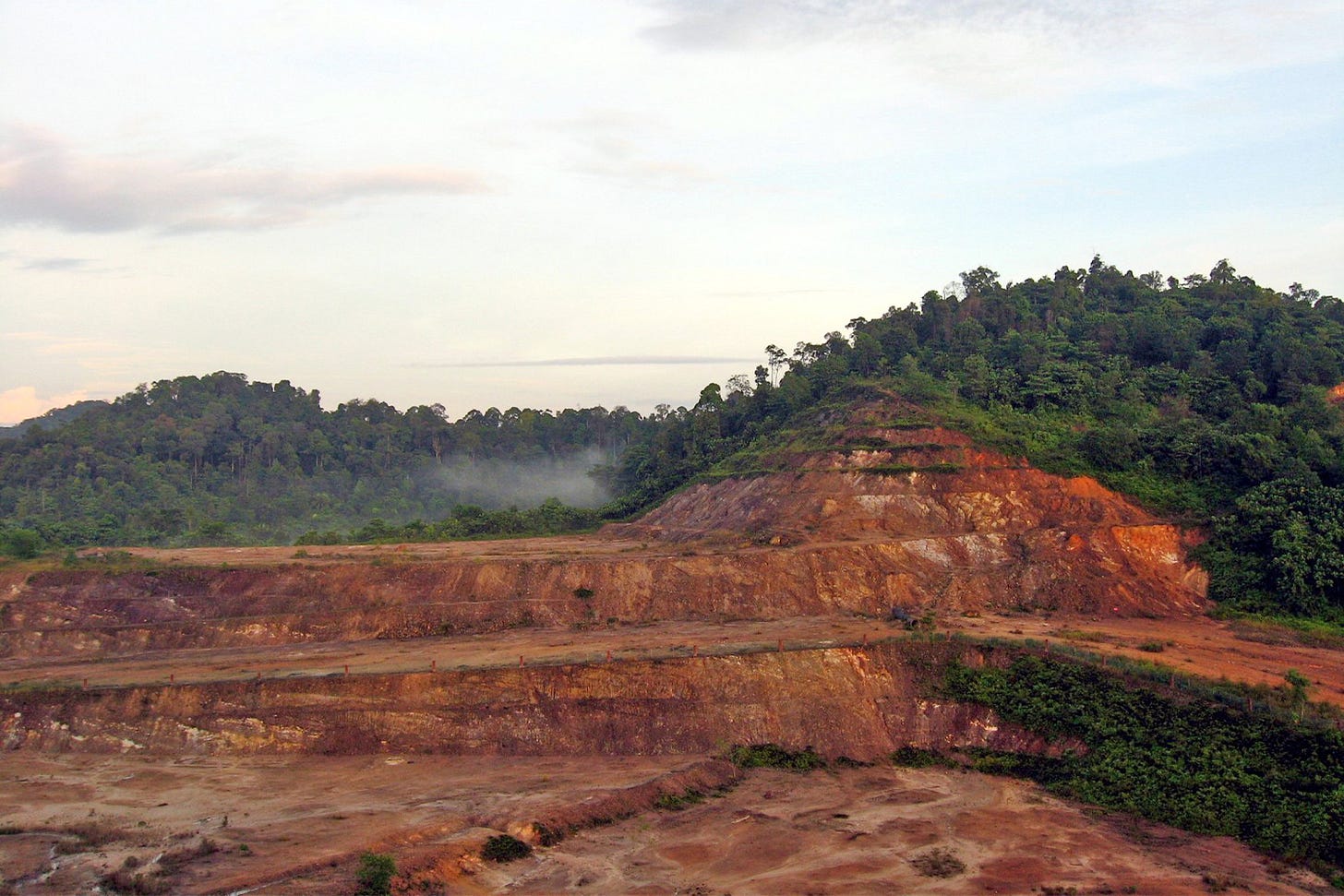 A deforested part of Ayer Hitam Forest Reserve in Selangor, Peninsular Malaysia. A deforested part of Ayer Hitam Forest Reserve in Selangor, Peninsular Malaysia.
