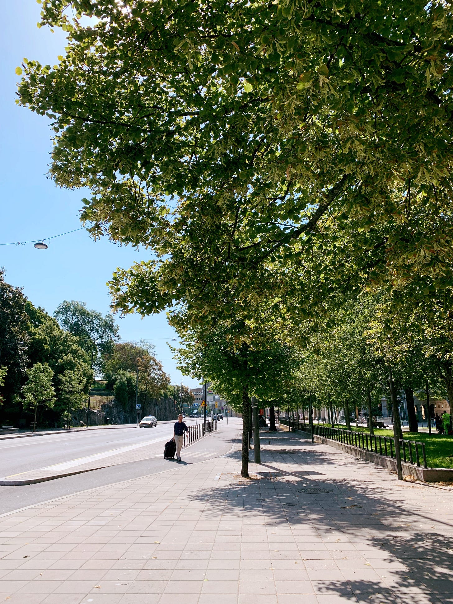 Street in the center with only one car driving on it