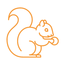 Blind Squirrel  logo