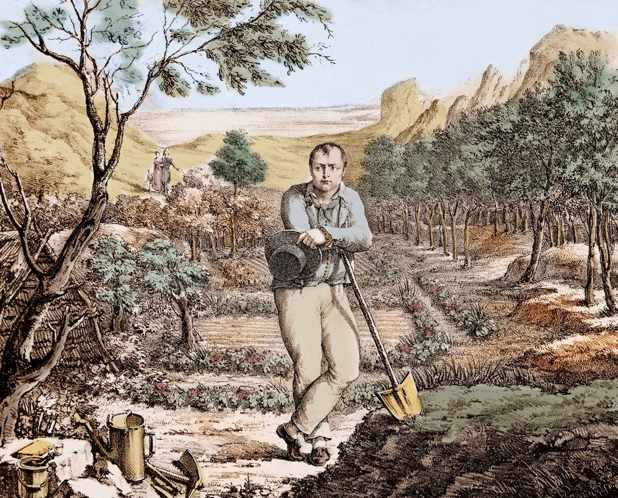 Napoléon le « Jardinier de Sainte Hélène ». Estampe rehaussée d’un auteur inconnu © Stefano BIANCHETTI/BRIDGEMAN IMAGES