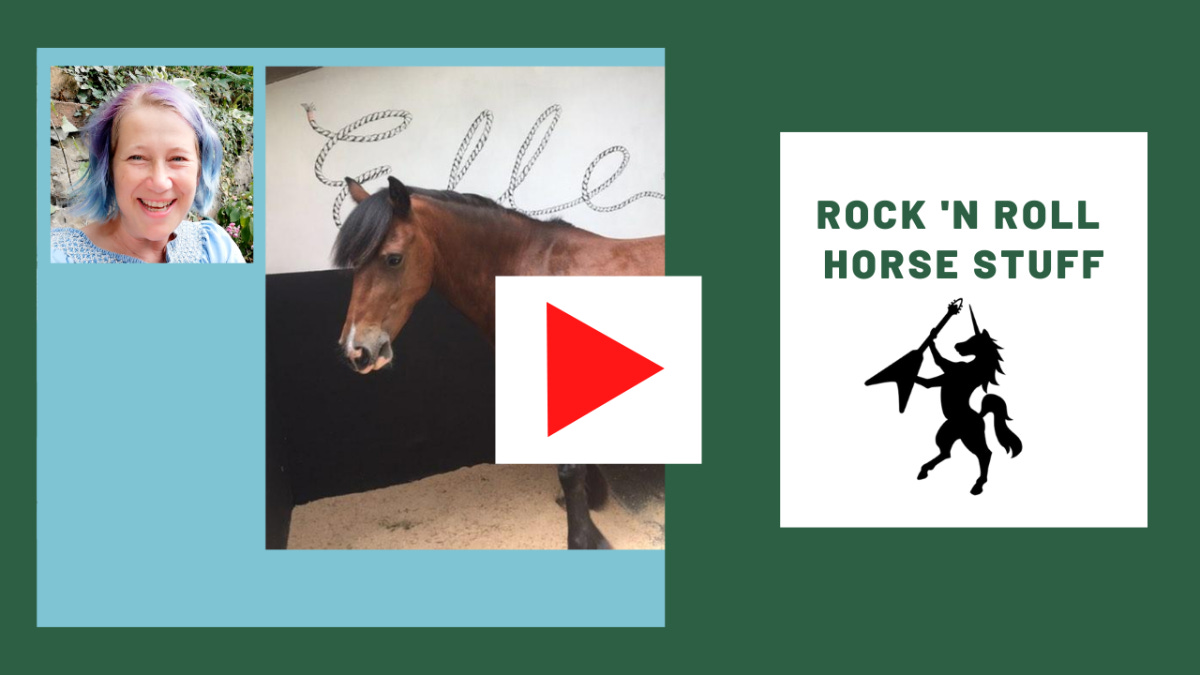 Rock n Roll horsestuff video thumbnail - click to play