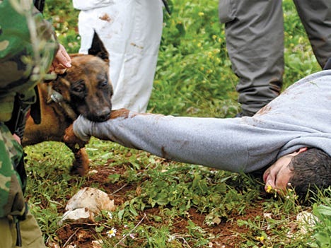When the Ends Don't Justify the Means: Israeli Army's Use of Dogs Is Cruel - Opinion When the Ends Don't Justify the Means: Israeli Army's Use of Dogs Is Cruel - Opinion