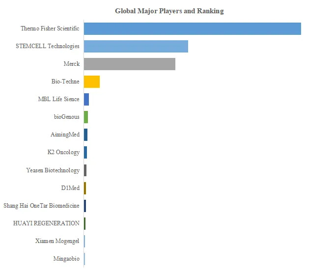 オルガノイド培養メディア