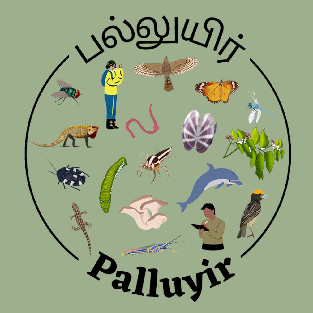 Artwork for Palluyir Trust