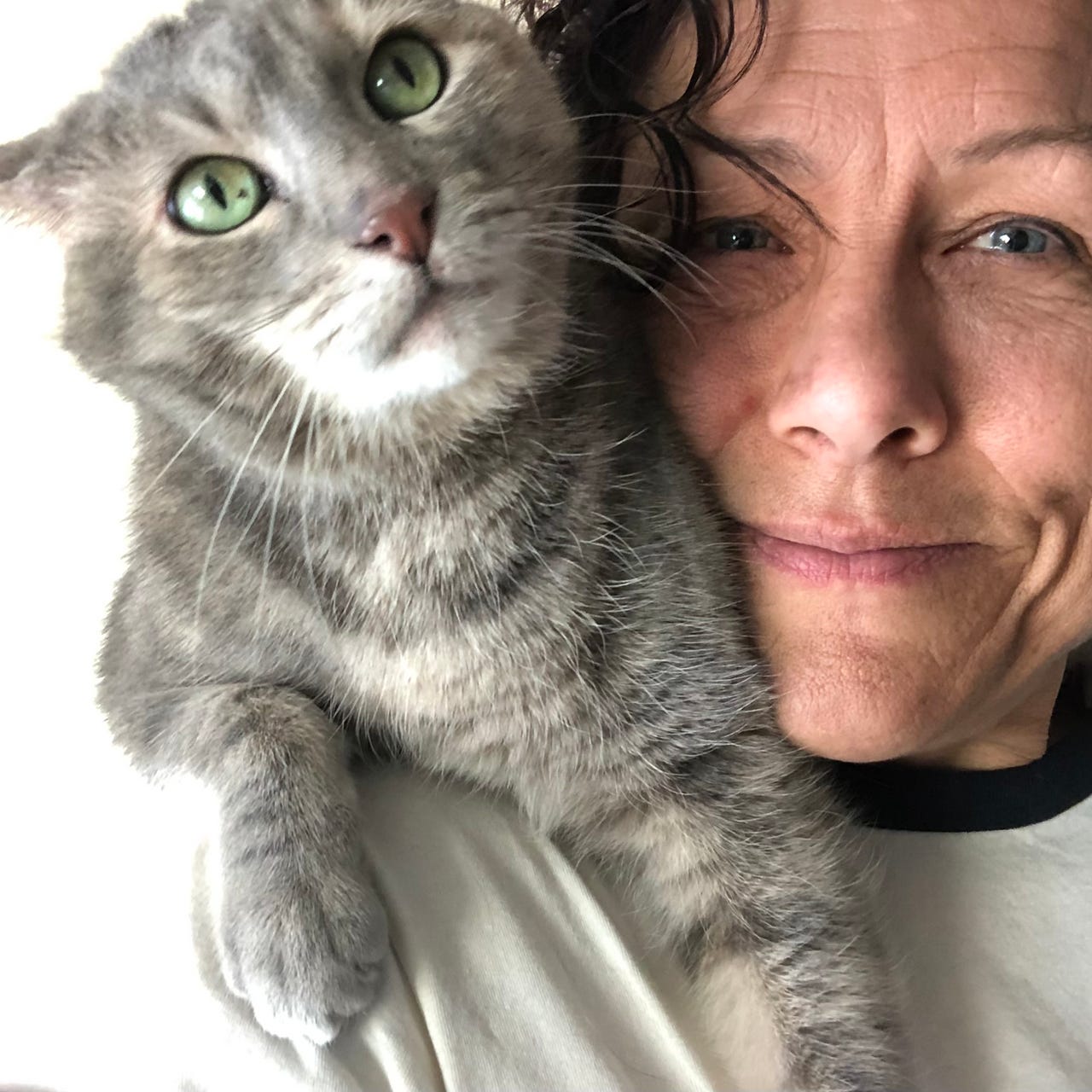 Shannon’s Substack