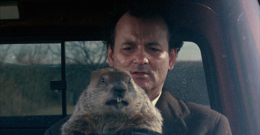 Groundhog Day' 4K Blu-ray Review: Perfect Every Time