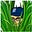 HEART MATTERS BLOG's avatar