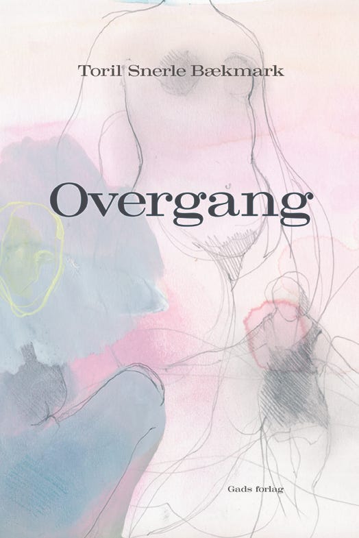 Illustration, transition, menopause, watercolor, graphic novel