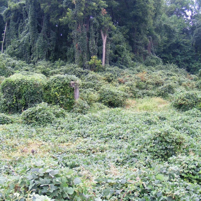 Cinema of moral anxiety