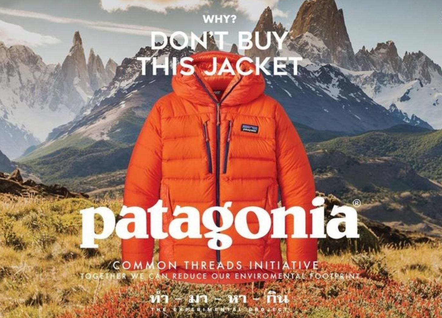 Patagonia “Don’t Buy this Jacket” Campaign Image