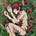 innerb1∞m's garden