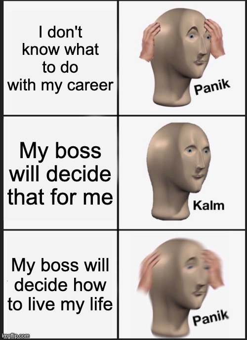 data engineering meme; my boss decides my life and career