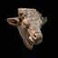 User's avatar