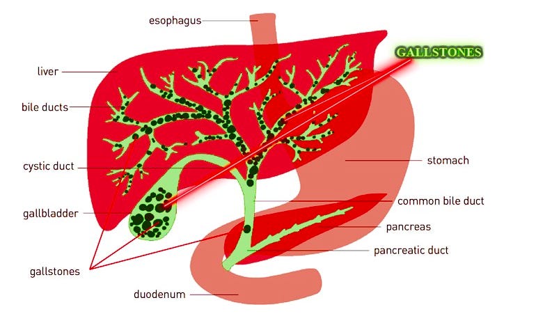 drchw17.substack.com