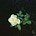 Lom's avatar