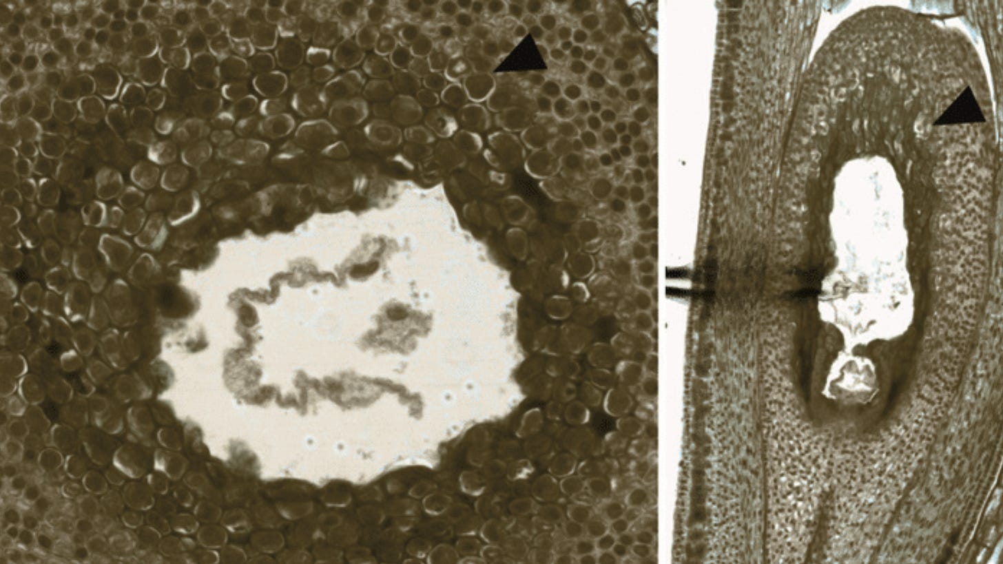 what the dark can teach us