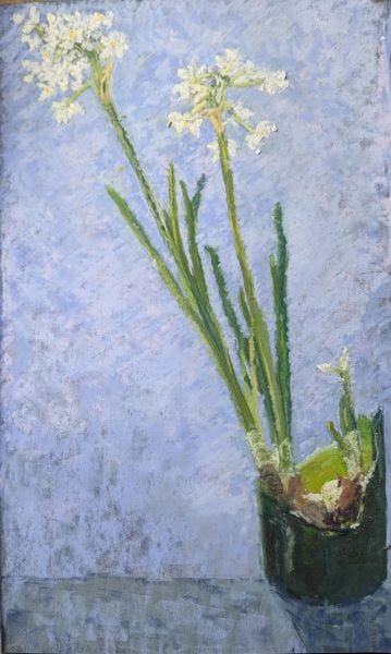 Narcissi in a broken jar, Wild flower garden, Red Dawn Skies, Mist a pine tree, ocean