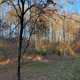 Permaculture after the frost: Stacking permaculture principles